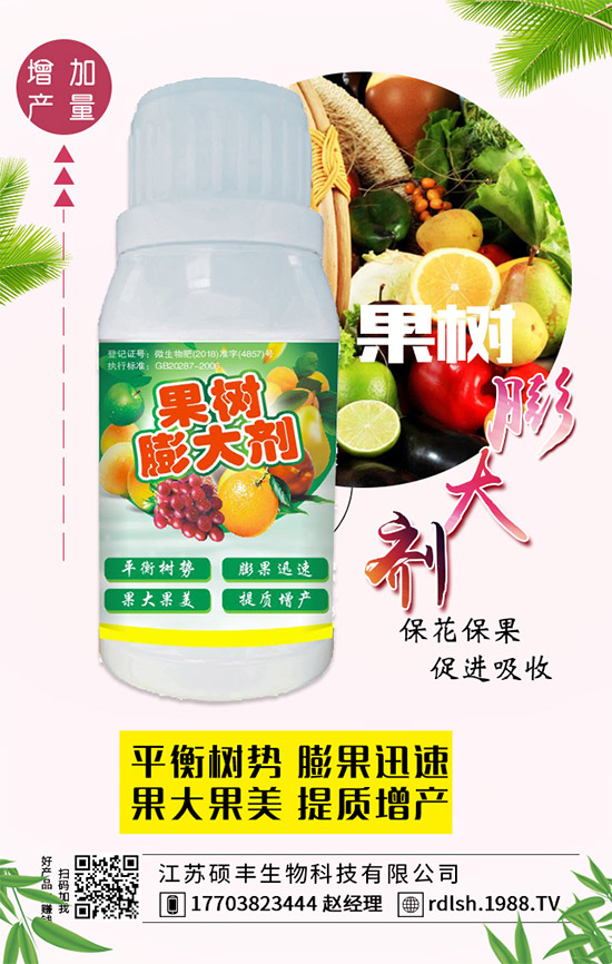 ��ľ���Ĺ�Ч�c��������ľ�����ʳ��������Щ��