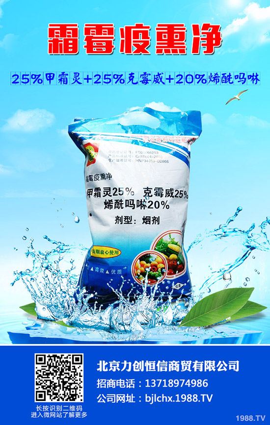 卷心菜怎么種？卷心菜的家庭種植技術(shù) 