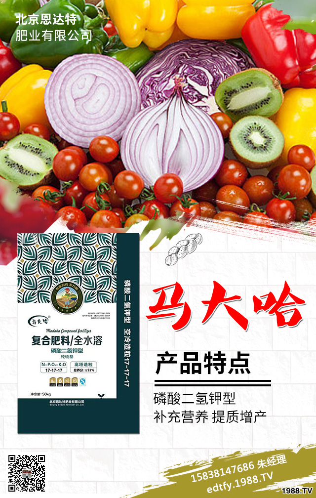 �����߲�ʩ���д�����Щ���}�������߲˷Nֲ���g