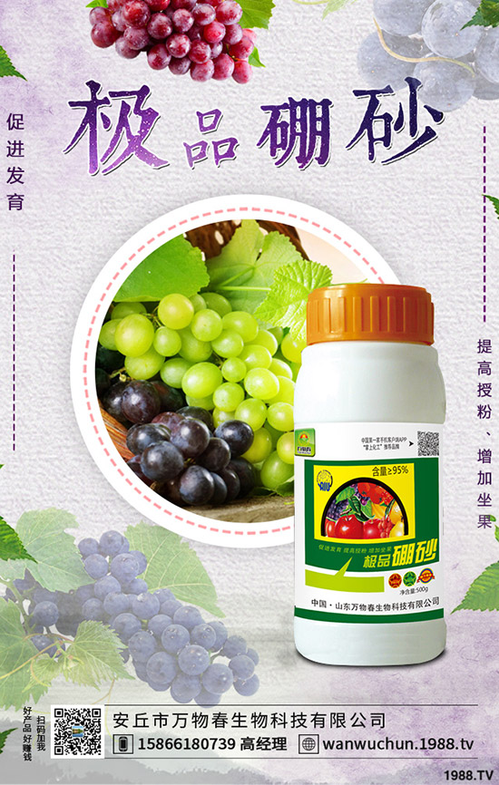 �����ηNֲ����轷Nֲ�l������Щ��