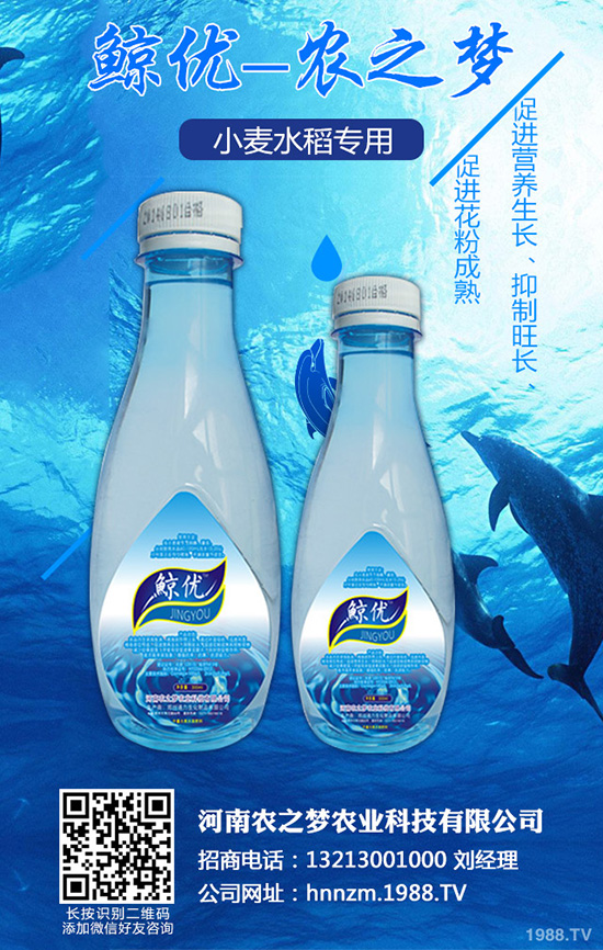 �۲˰߿ݲ�����ЩΣ����ԓ��η��Σ��۲˰߿ݲ��İl(f��)���c����