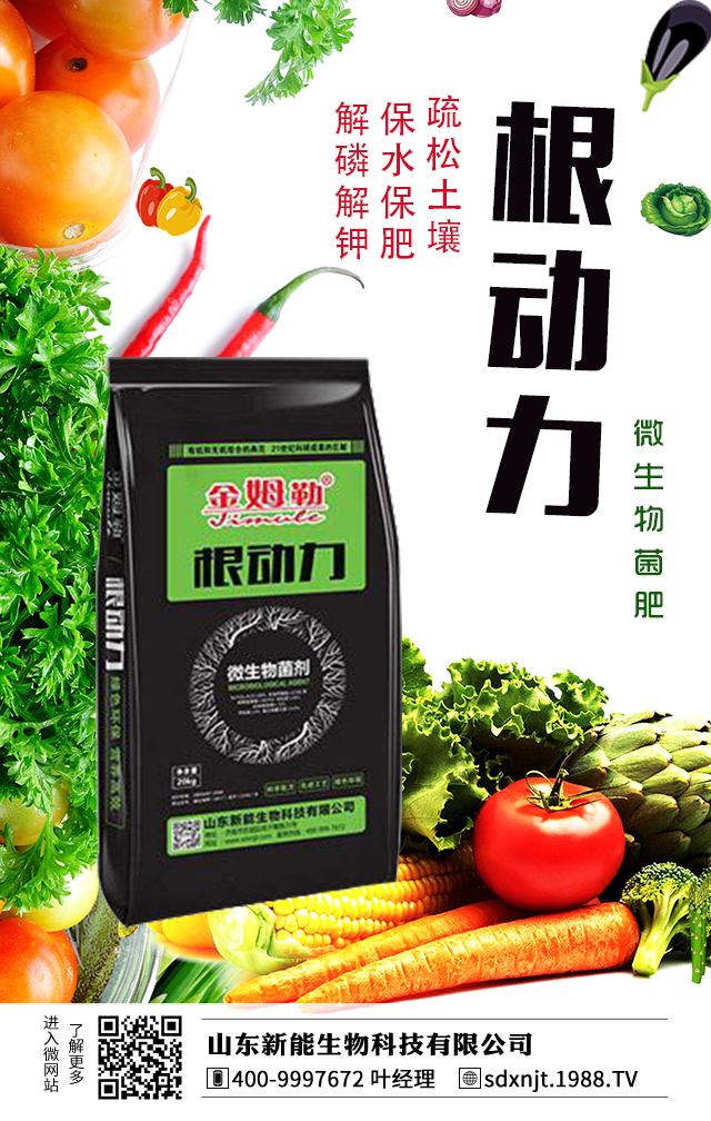 �R������������νo�R���ʩ����