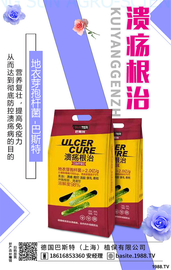 ������һ���Ǽ�(x��)���Բ��������e���e����Ƚ���������������ɷ����Ν�������