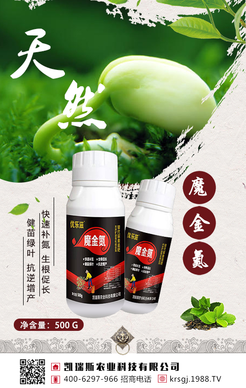 ���@��׷�����󶹸߮a(ch��n)����