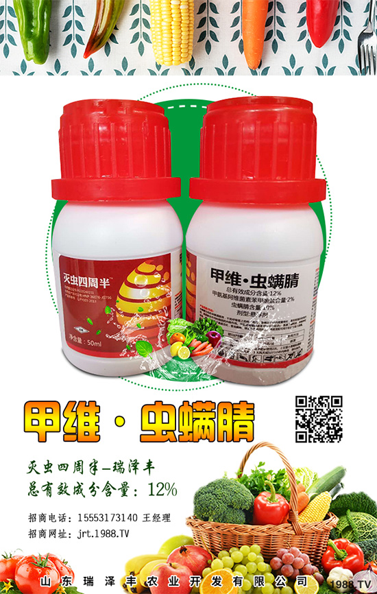 �������x���r(ji��)��