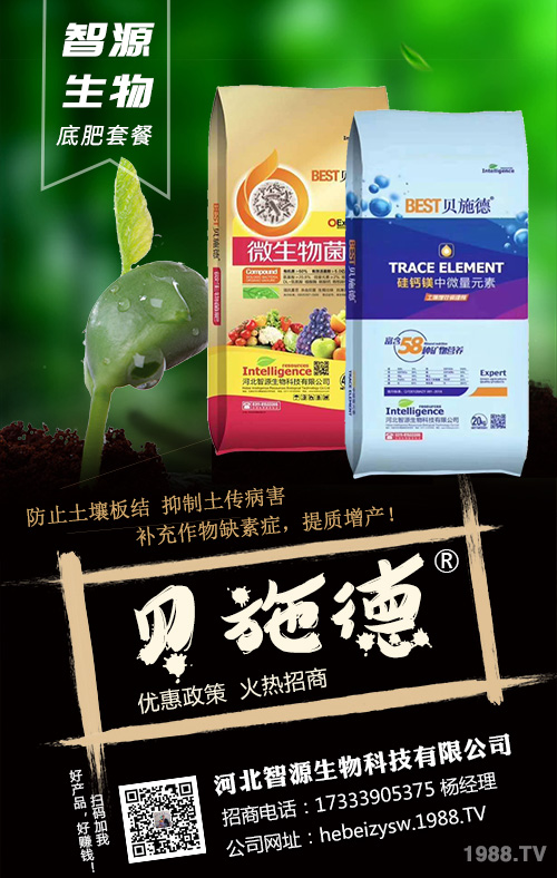 種植戶須看,豆角基肥,追肥施肥方案