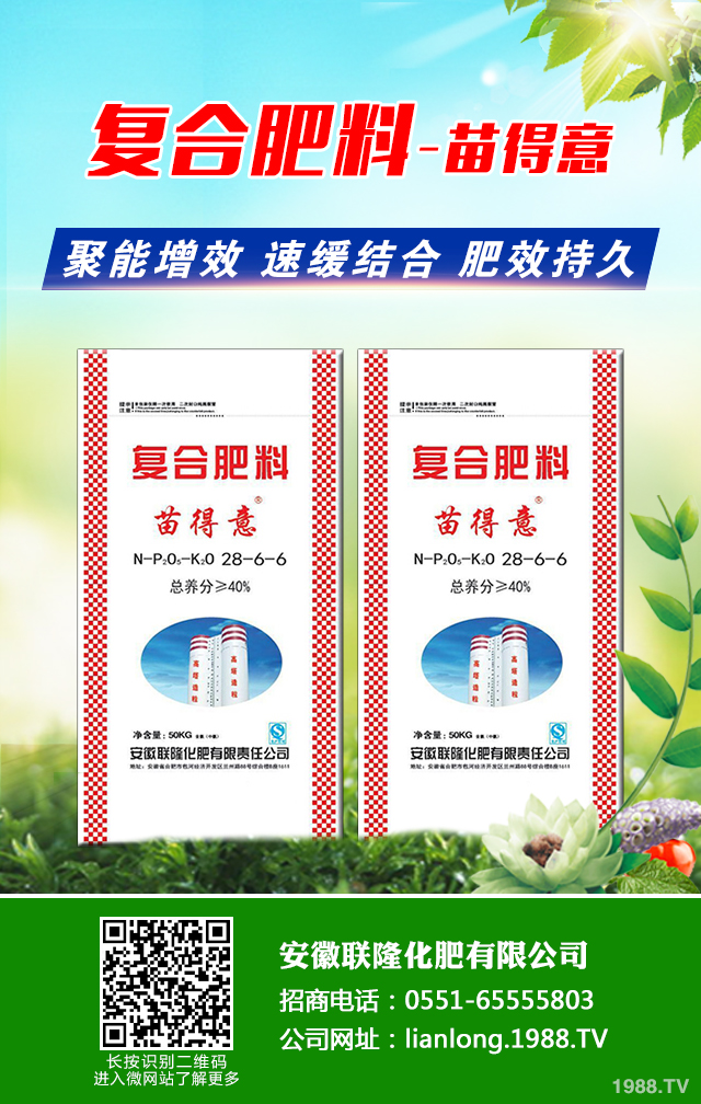 �t��������ô�������t������ȫ�����