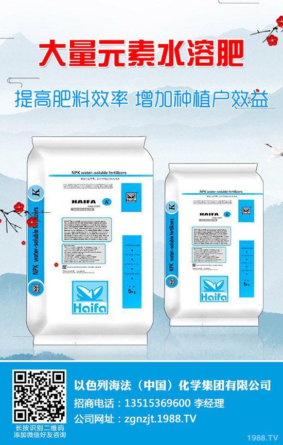     ���ڇ����Ȼ�����r����������������A�y2019-9-11