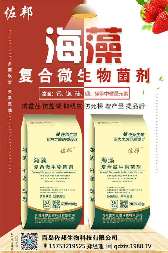 ������ʲô�r���֦����ô�޼����߮a(ch��n)��