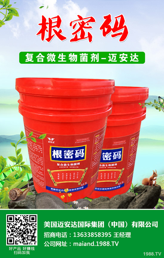 �����Jʲô�r(sh��)��Nֲ�������J�Nֲ���g(sh��)��