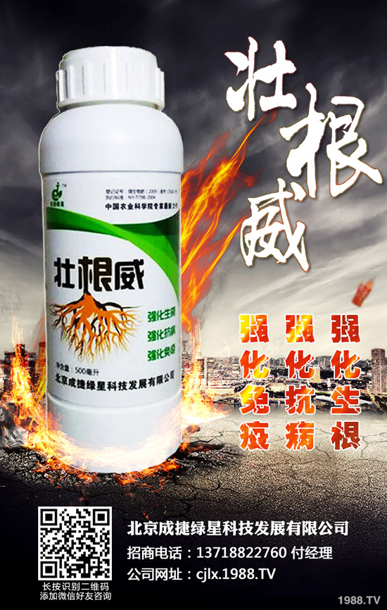 �ཷ�ķNֲ��������Щ���ཷ�Nֲ�^������Ҫע��Ď״��}