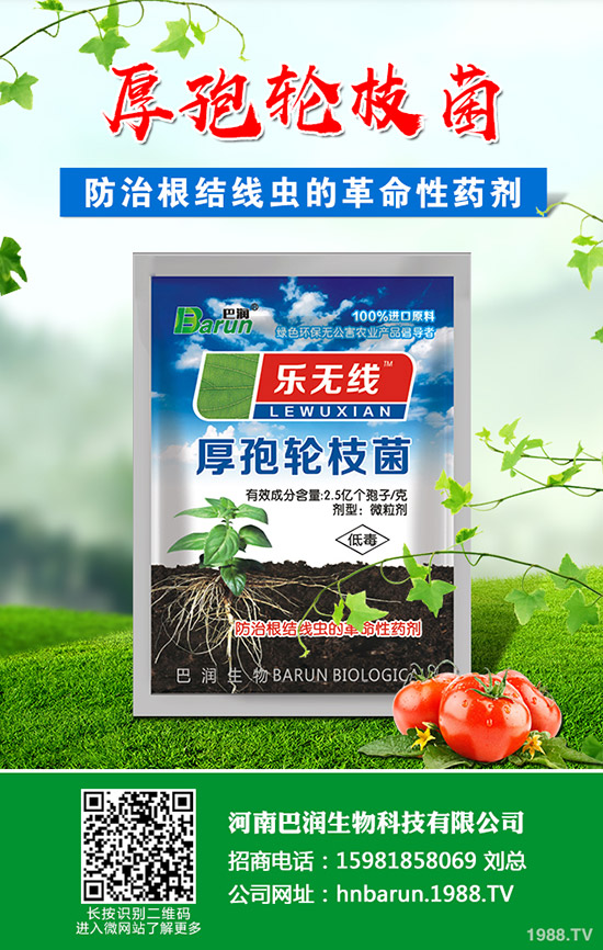 ��֦���~��ô�޼�����֦���~�޼�������