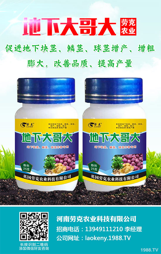 �������Щ�I�B(y��ng)�rֵ���Խ������Щ��̎����˵Ĺ�Ч�c����