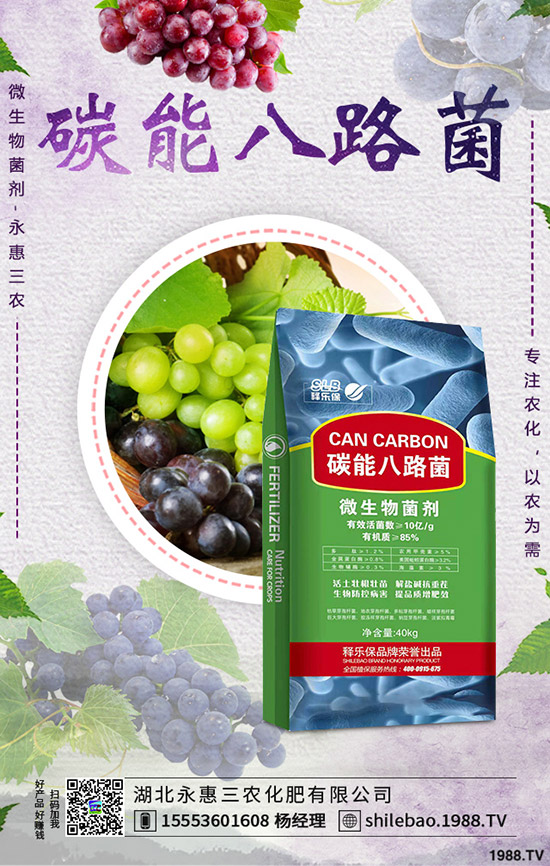 �������ʩ������Ҭ��ʩ�ʕr������Ҭ�˵�ʩ���������g(sh��)���˽�ô��