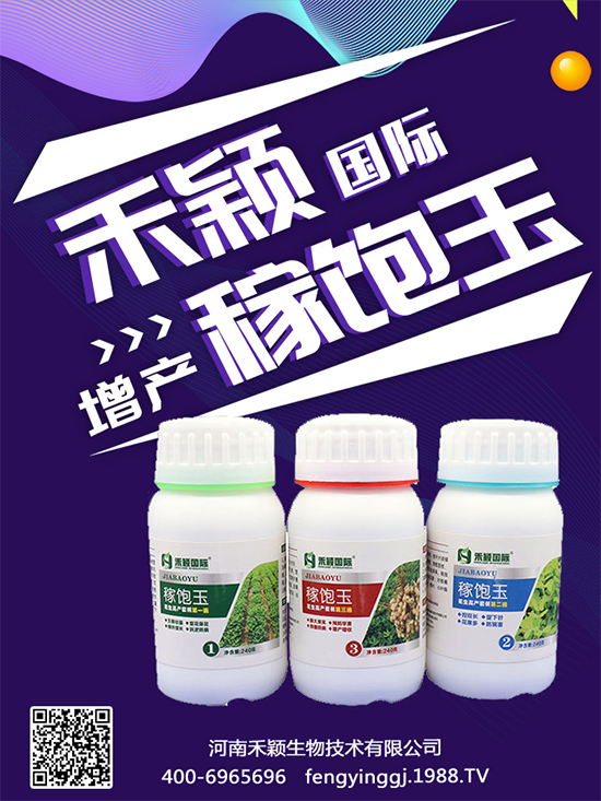 ����Nֲ���ի@�r�g������Nֲ�����L�h(hu��n)����