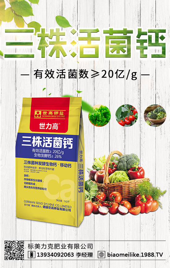 ���S��ʲô�r(sh��)������������S�������ע�����(xi��ng)��