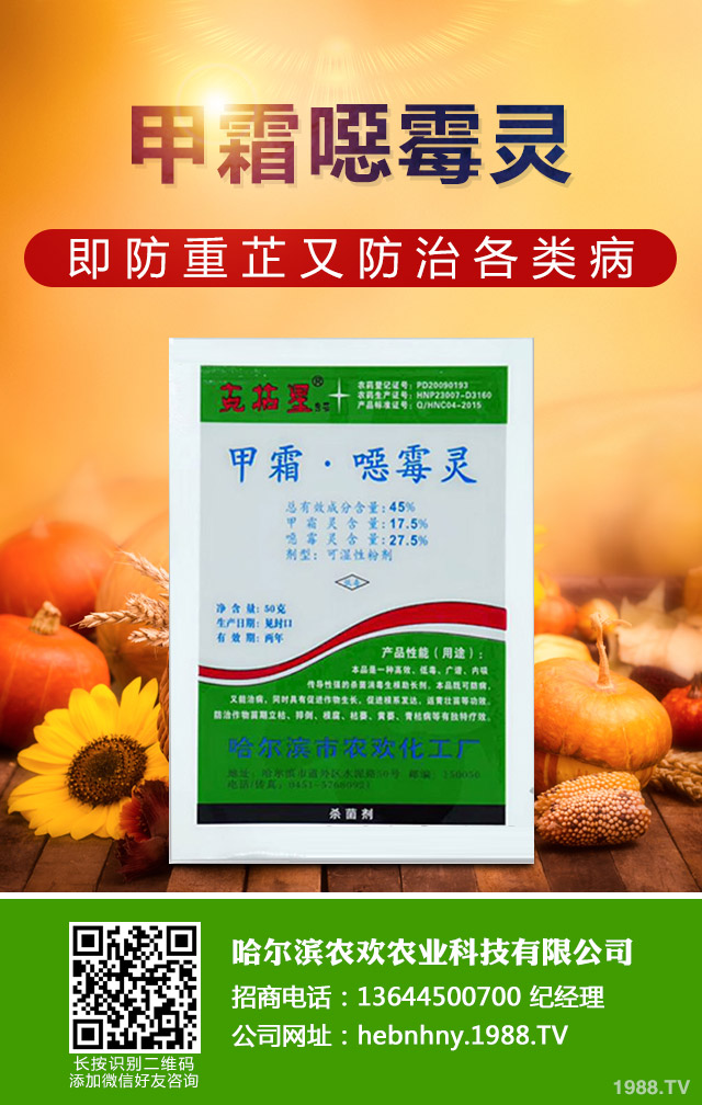 ��Щ������ɣ����P����ɣ����P�����μ���