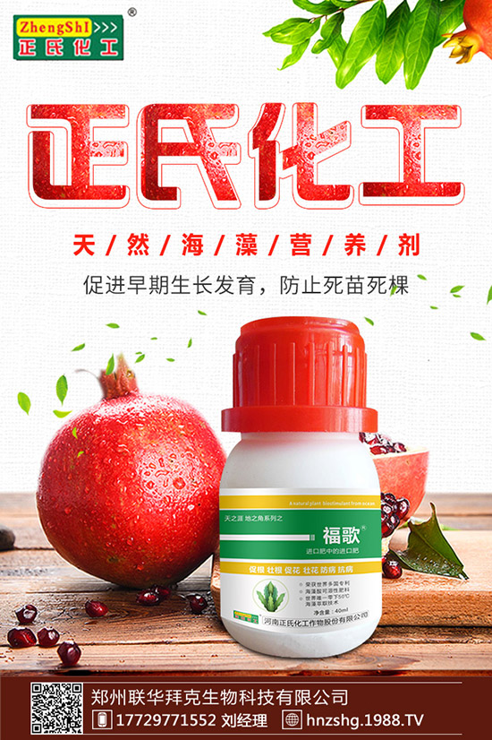 金銀花有什么作用，金銀花的功效與食用禁忌！