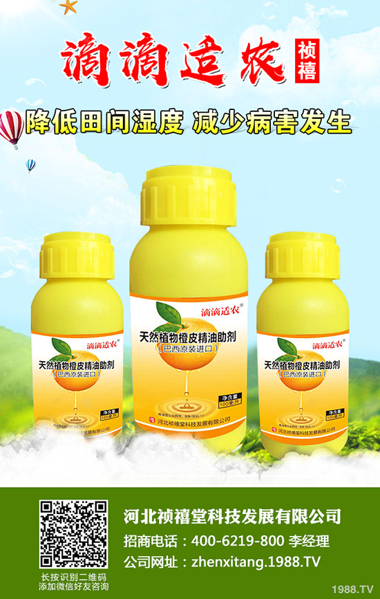 �＾��ݮ��ι������ܸ߮a(ch��n)���＾��ݮ��ֲ�������g(sh��)��