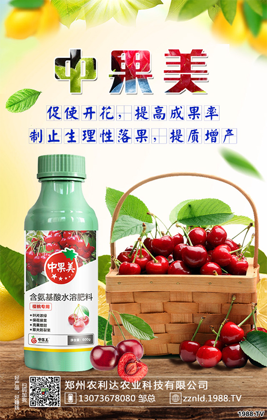 ��ʲô�r(sh��)��N�Nֲ���𽷷NֲҪ�c(di��n)��