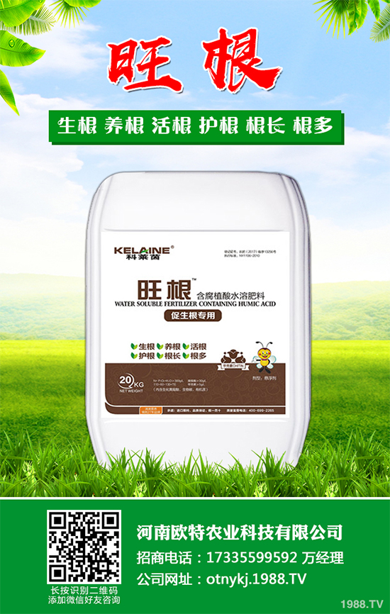 ���[�ɼ���զ���£����ӽ�Q�����[�ɼ��ԭ�򼰷���