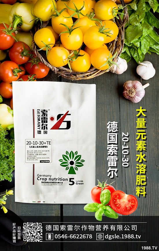     ����⛷������������S������(b��o)�r(ji��)һ�[2019-9-18