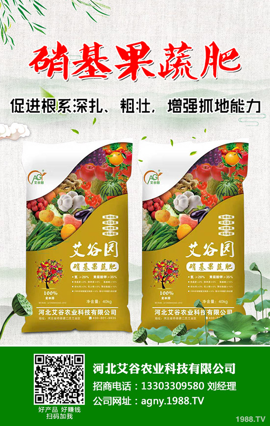 ��Ҭ���c���m���ĠI�B(y��ng)�rֵ��ʲô��ͬ����Ҭ�����m���ą^(q��)�e����Щ��