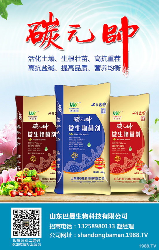     2019��9��19�ս�����������һ�@�r(ji��)���������(b��o)