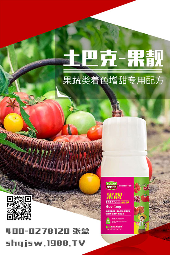 �ϹϷNֲ�r�g��ʲô�r�����ϹϵĲ��N���������༼�g(sh��)!