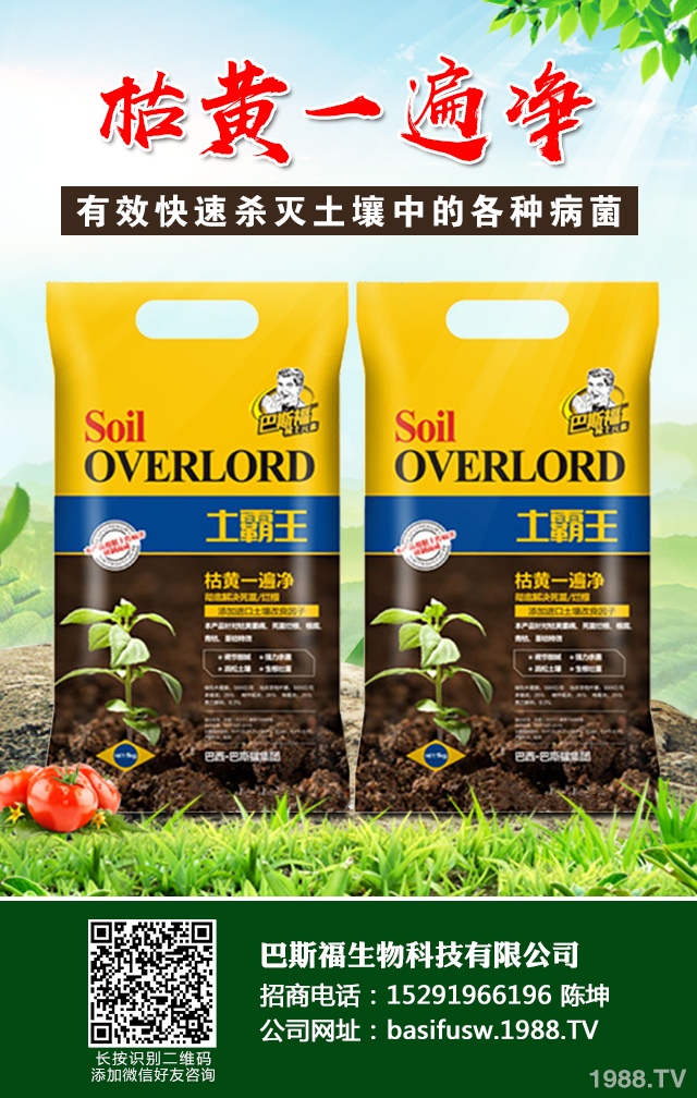 �������ݲ�����ɷ������������ݲ����μ���