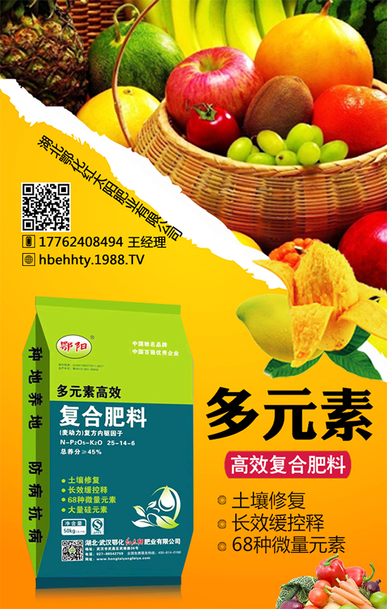 �SƤ��������ô�Nֲ���SƤ�������ķNֲ���g(sh��)��