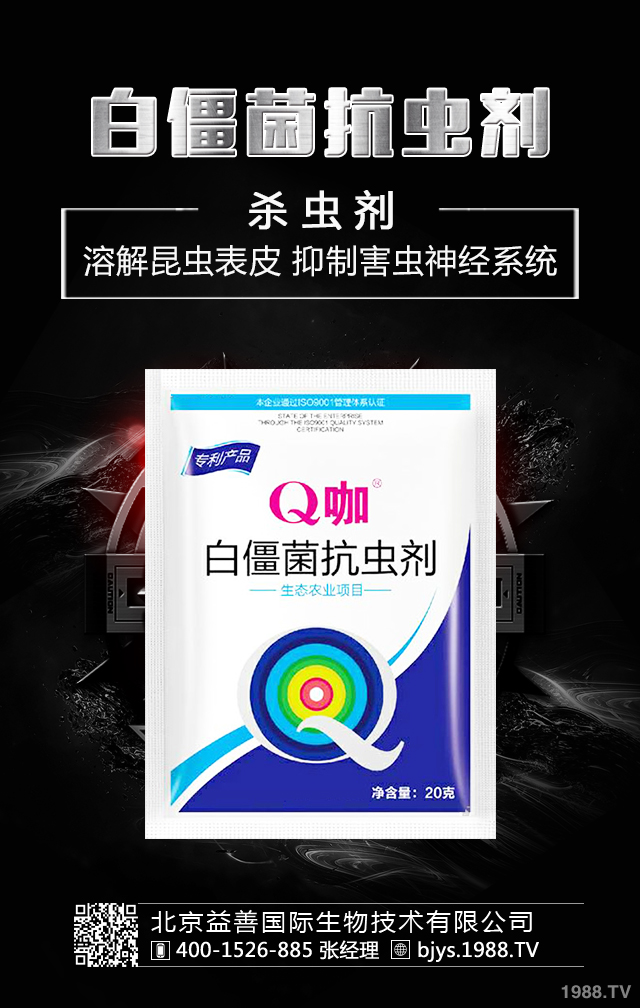 �¼����x����ô�������¼����x�����μ��\