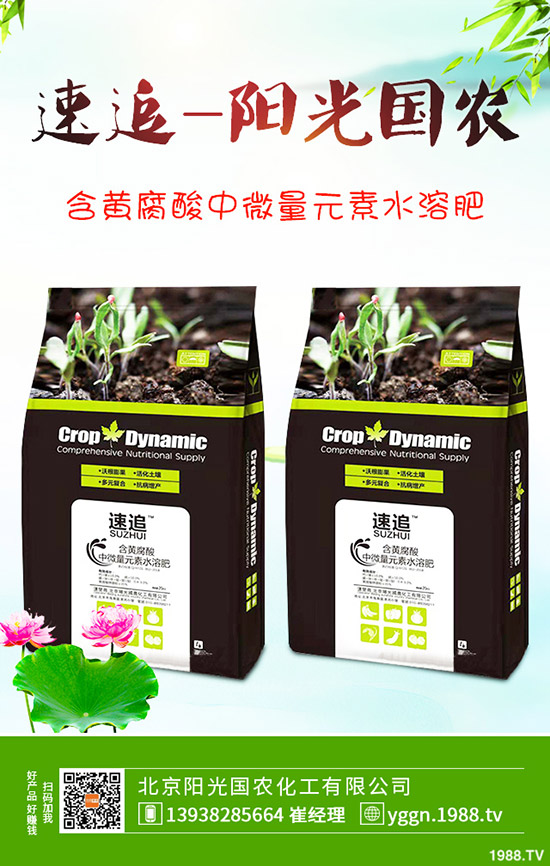     ���c������������@�r���Ƿ�Ӱ������¶��@�������2019-9-241-(238)