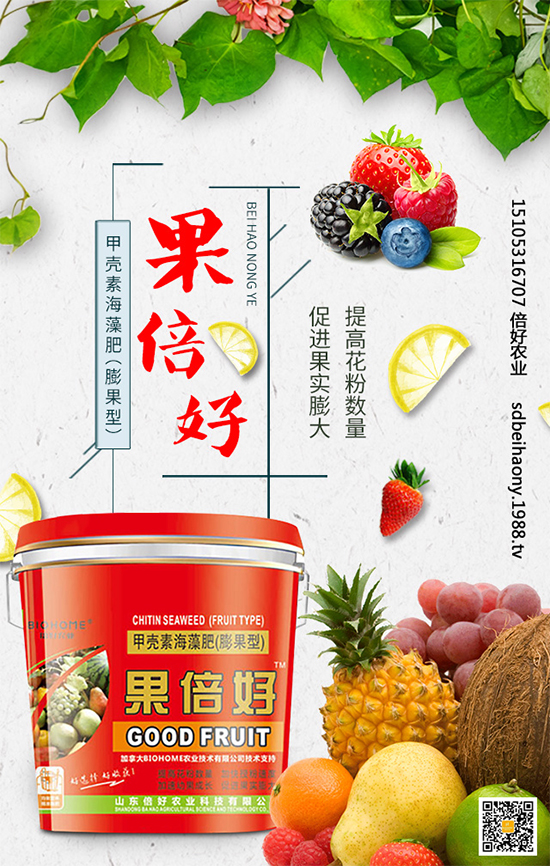 ʥŮ��ʲô�r(sh��)�g�Nֲ��ʥŮ���Nֲ���g(sh��)Ҫ�c(di��n)����Щ��