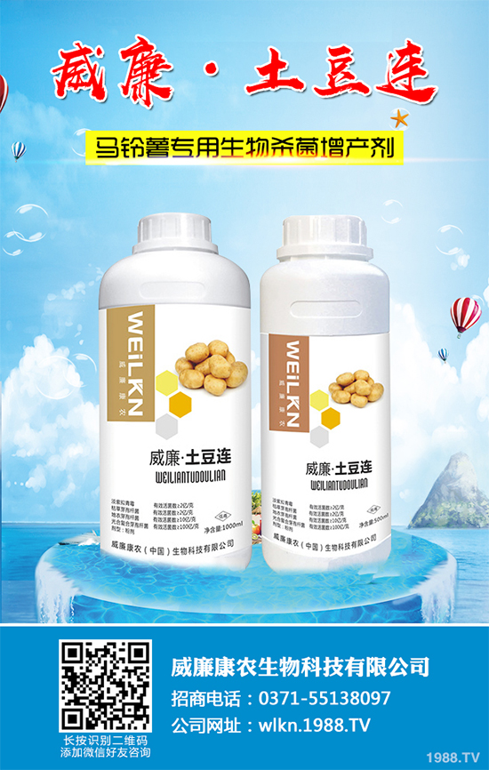 �㶹����������ЩΣ�����F(xi��n)��ԓ���ӷ������㶹���������η���