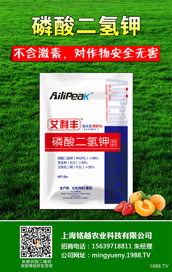 �㶹����������ЩΣ�����F(xi��n)��ԓ���ӷ������㶹���������η���