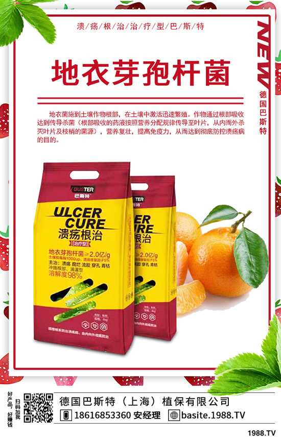 �t��̦��ô�N���t��̦�ķNֲ�r(sh��)�g���Nֲ������