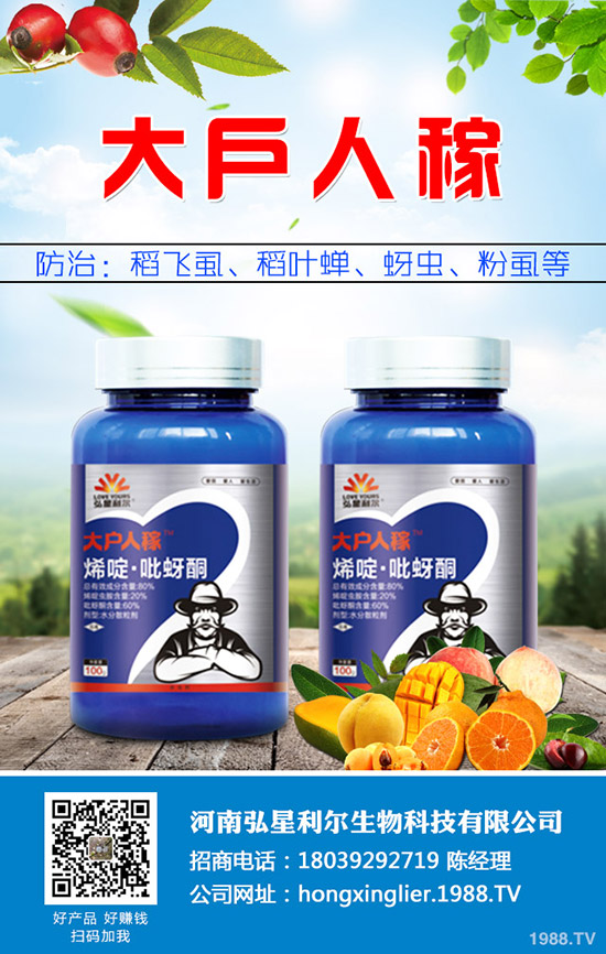 ���[�Nֲ��Ҫ��ô���������[�Nֲ�������g(sh��)Ҫ�c(di��n)��