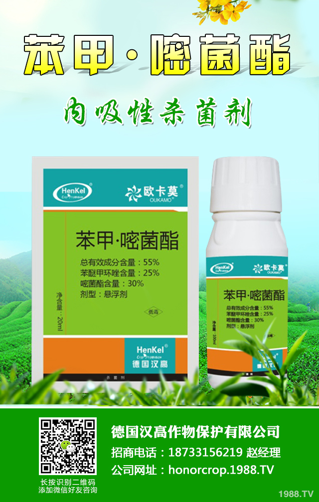 �n�S�ְ߲���ô�����n�S�ְ߲����μ���