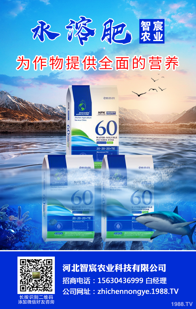 ��������������η����������綬���������g(sh��)