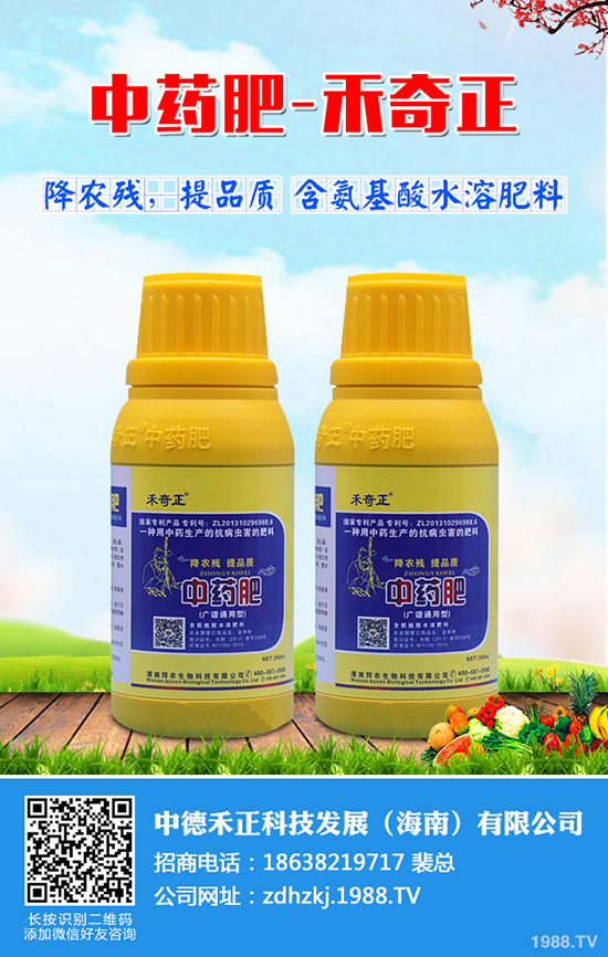 ��z�������������z�ϷNֲС������