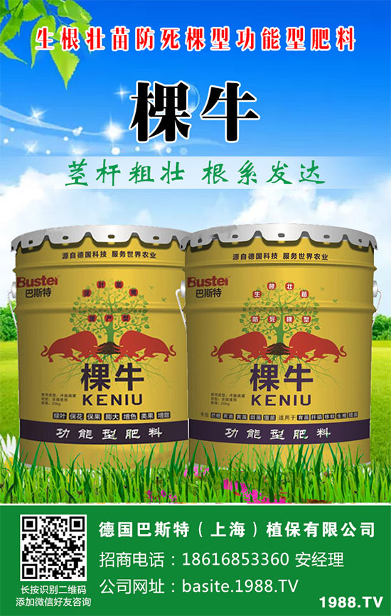 ���[���ʩ�������[�ƌW(xu��)������ʩ�ʷ�����