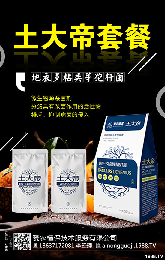 ���·ݿ��ԷNʲô�߲���2019��9���߲˷Nֲָ��!