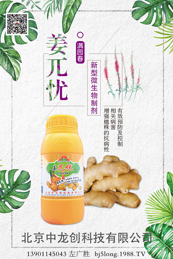 ����ʩ�ʵķ�������Щ�����ʩ�ʲ��ܸ߮a(ch��n)������ʩ�ʼ�����