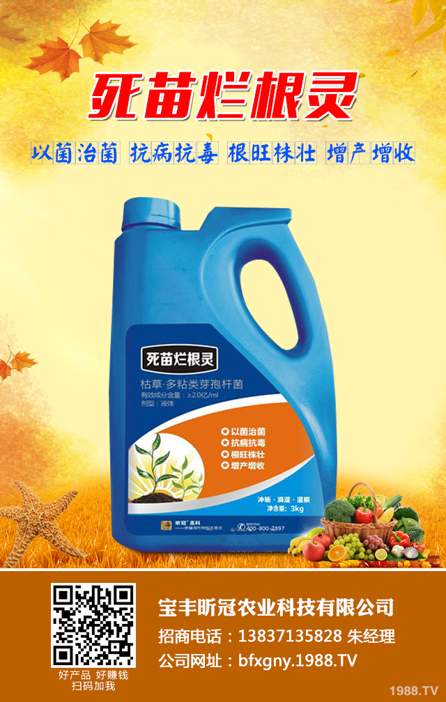 ���㶹������ô�k�����㶹������Ч���μ���