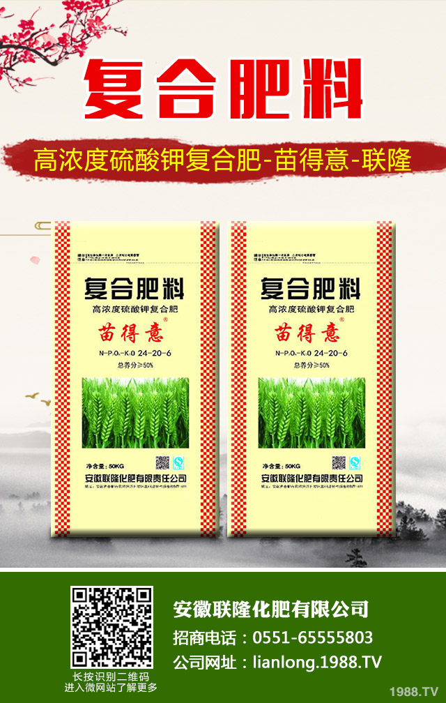 �K�F�~�S�݆��}��ô��Q���K�F�~�S�ݽ�Q����