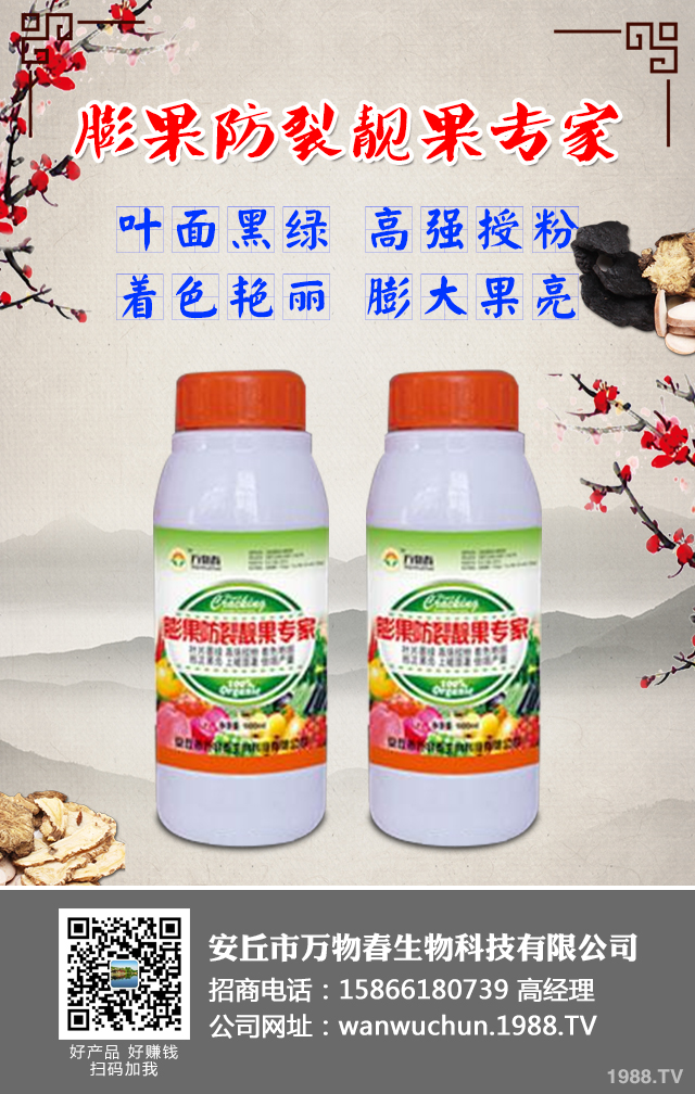 ����A����ݮ��������ݮ���η��μ���