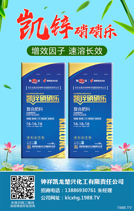     �n�ĺڰ߲�����ΰl(f��)����������ЩΣ�����n�ĺڰ߲����δ�ʩ