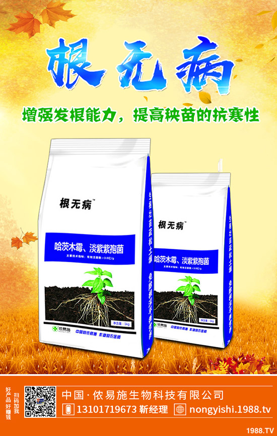     ��������[�����[�Nֲٍ�X������Ҋ�{(di��o)ζ���߲˷Nֲ����������