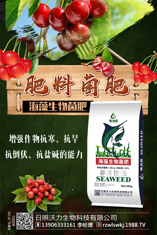 ������ôʩ����ʩʲô����������ʩ��Ҫ�c��